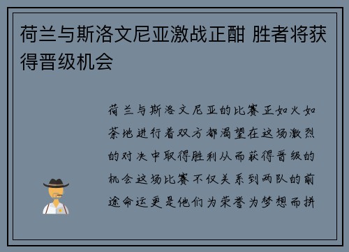荷兰与斯洛文尼亚激战正酣 胜者将获得晋级机会