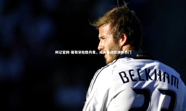 利记官网-葡萄牙险胜丹麦，成为备战欧洲杯热门