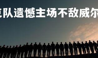 利记官网-斯洛伐克队遗憾主场不敌威尔士，斯洛伐克联赛水平