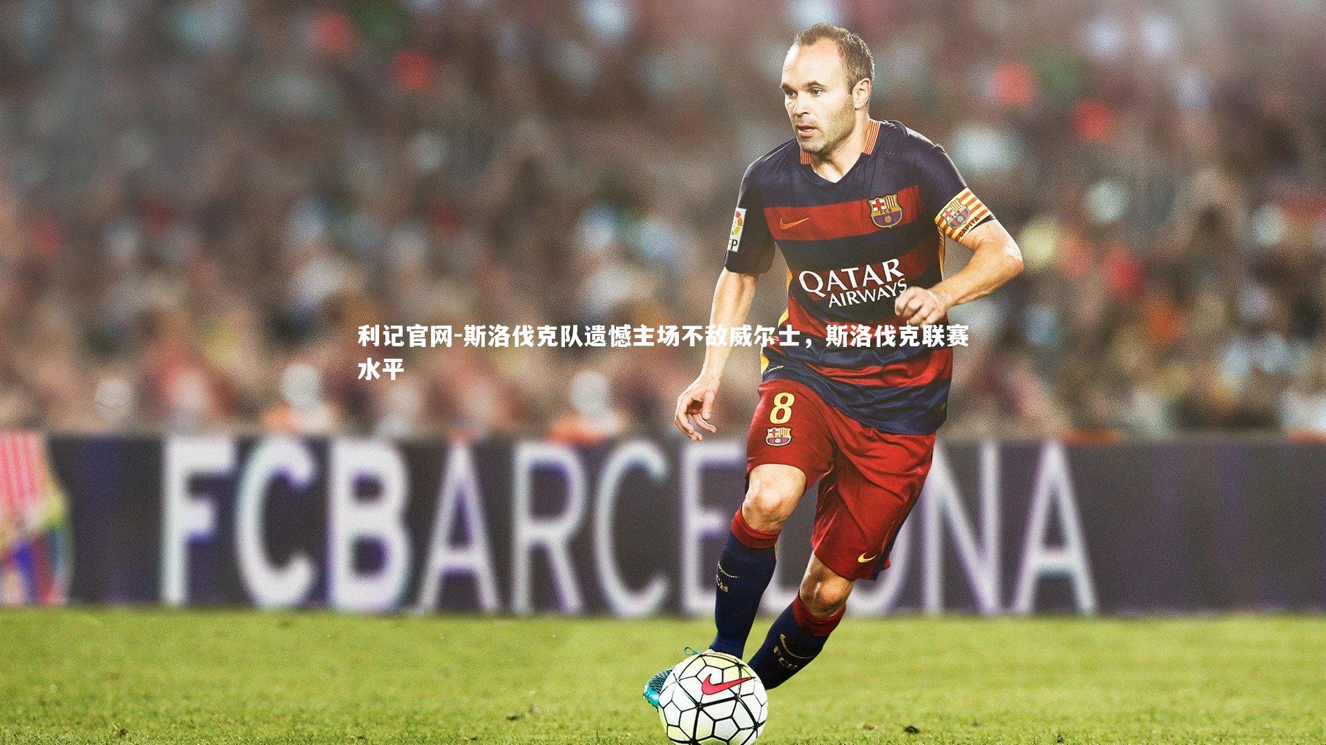 斯洛伐克队遗憾主场不敌威尔士,斯洛伐克联赛水平