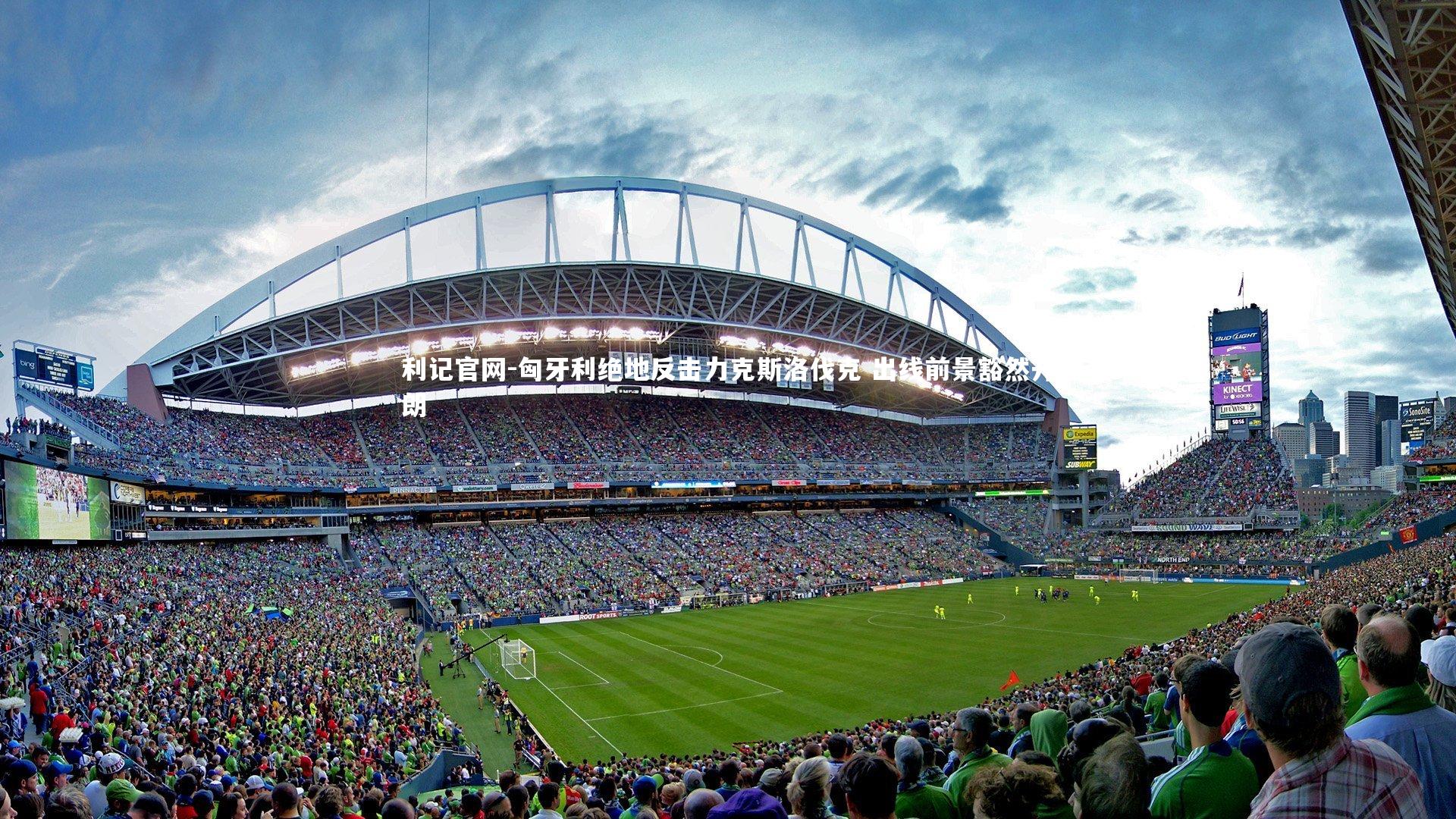 匈牙利绝地反击力克斯洛伐克 出线前景豁然开朗