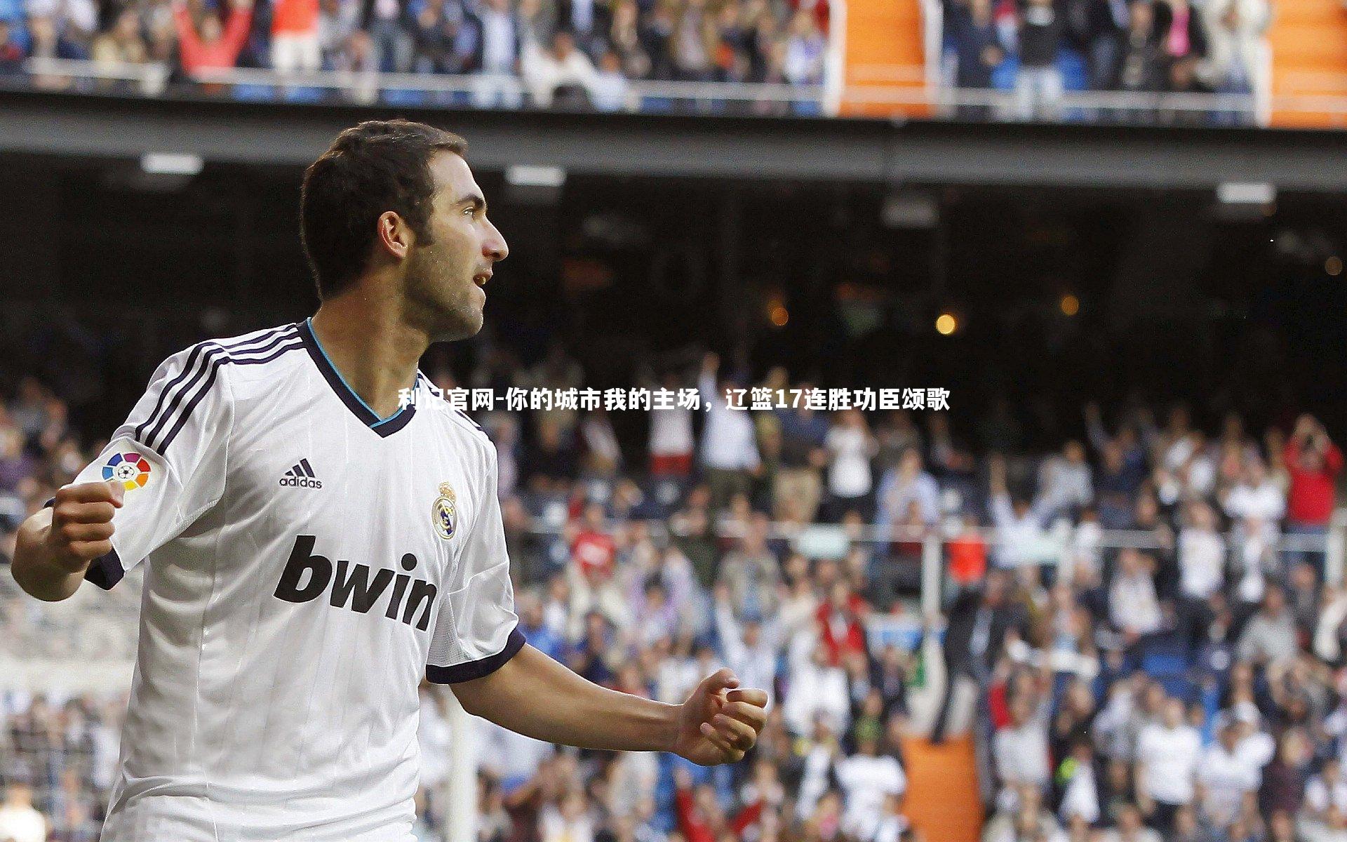 你的城市我的主场，辽篮17连胜功臣颂歌