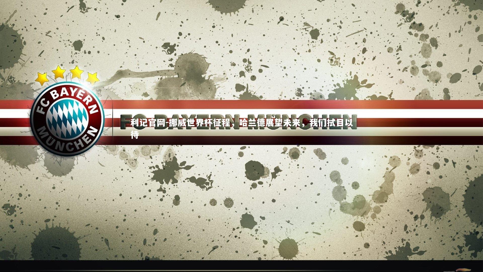 挪威世界杯征程，哈兰德展望未来，我们拭目以待